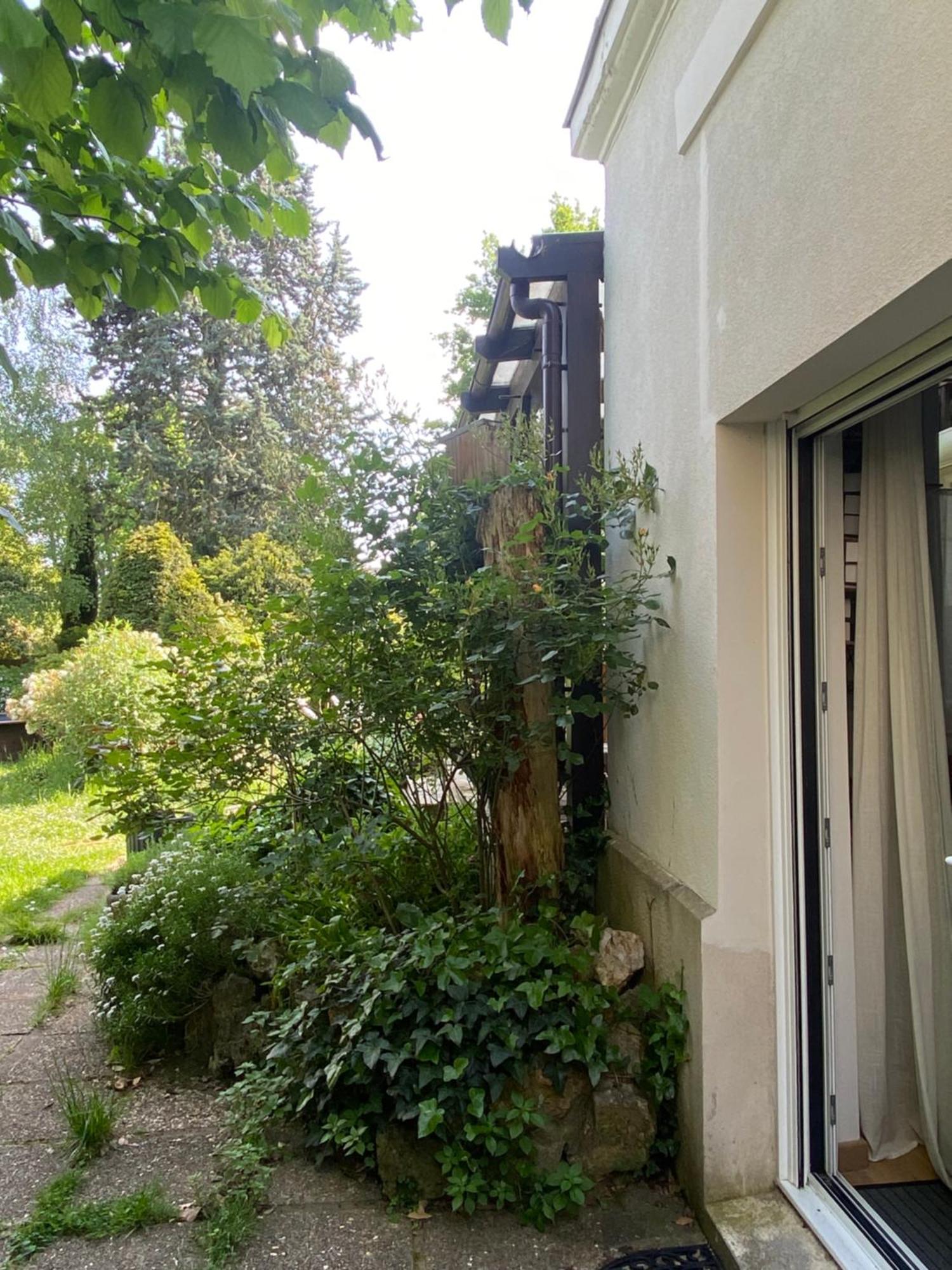 Les Charmettes Chambre D Hotes Villemoisson-Sur-Orge Exterior foto